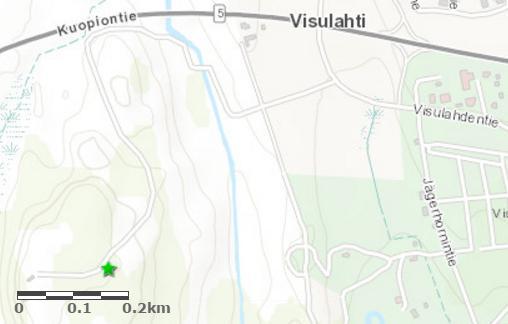 Puu on maisemallisesti komea, ja se on rauhoitettu maisemallisen ja luonnonsuojelullisen arvonsa takia.