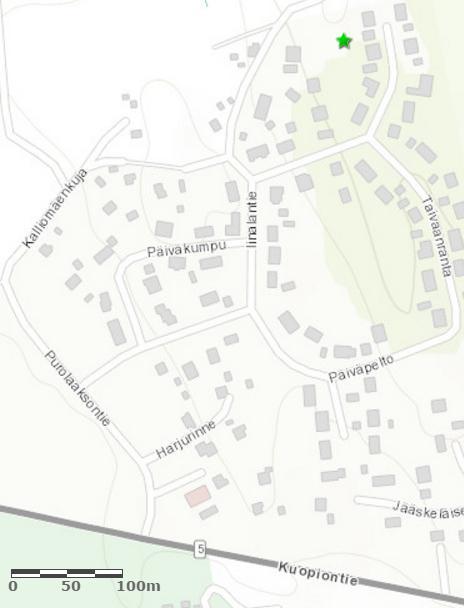 31 Visulahden käärmekuusi Visulahden käärmekuusi on iältään noin 110 vuotta.
