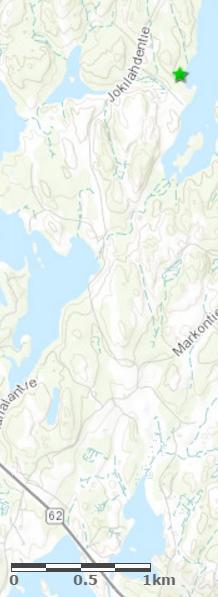 Ylä-Säynätin kuusi 32 Ylä-Säynätin kuusi on paksu, noin 140 -vuotias ja 31 metriä korkea kuusi.