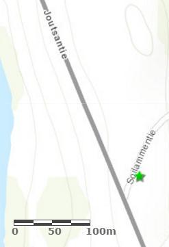 Tuulenpesästä lähtevien oksien värin perusteella kohdasta kasvaa edelleen uusia oksia. Mänty näkyy Joutsantielle.