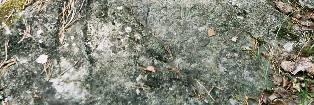 Lähde on tunnettu mineraalipitoisesta vedestään, ja veden maku