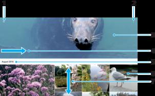 Albumin valokuvat ja videot Valokuvien ja videoiden katselu Albumisovelluksessa voit näyttää kameralla otettuja valokuvia ja videoita ja vastaavaa laitteeseen tallennettua sisältöä.