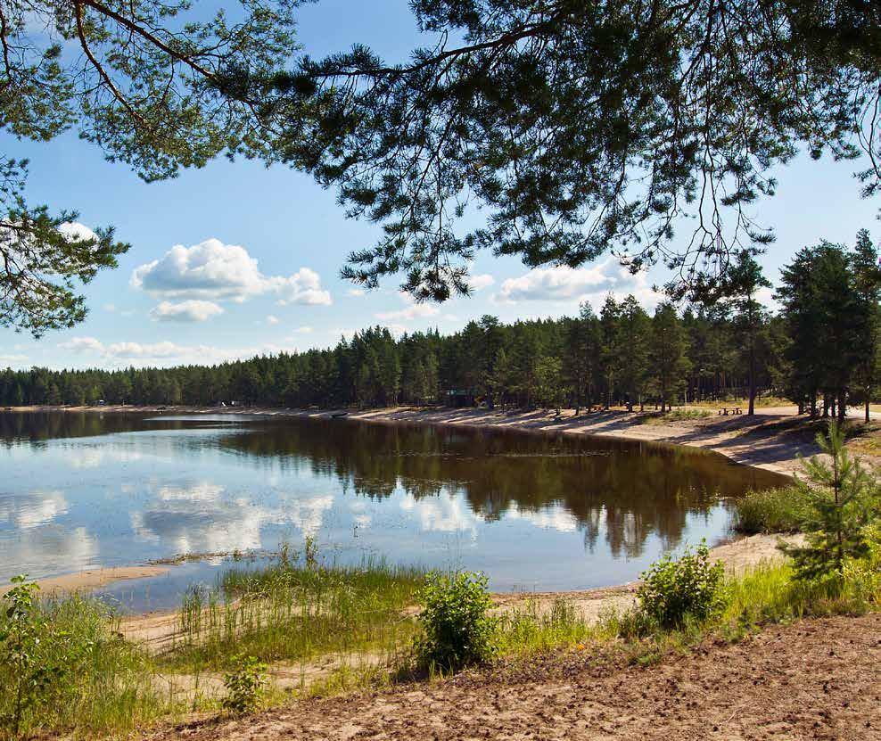 Apoli Kuopio 62 Apoli Kuopio 63 3.10 Loma-asutus on olennainen osa rantamaisemaa Kaupungin lähirannoilla on vanhoista hu vi loista muodostuvia eheitä ryhmiä, jotka polveilevat ketjuina veden äärellä.