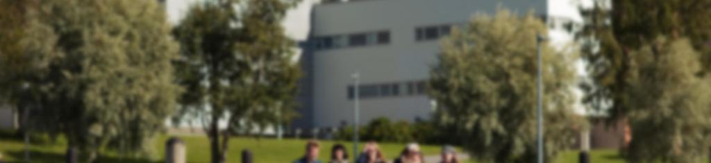 yliopisto
