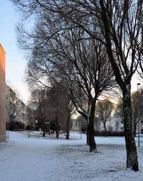 KYLÄTIE LAINEENTIE PUIMURIPOLKU TALLITIE PUIMURIPOLKU IMPIVAARANKUJA RAPAMÄENTIE LUKKARINKUJA KALVEAN IMMEN KUJA ANNANPIHA 57 Kaupunkirakenteessa keskeinen kaupunkikuvallisesti kehitettävä alue.