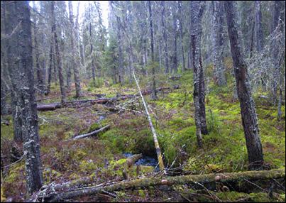 Retkellä jaamme porukan useampaan pienryhmään, jolloin jokaiselle varmasti löytyy sopiva matka ja vauhti. Välillä mahdollista evästellä nuotiolla, ota omat reppueväät mukaan.
