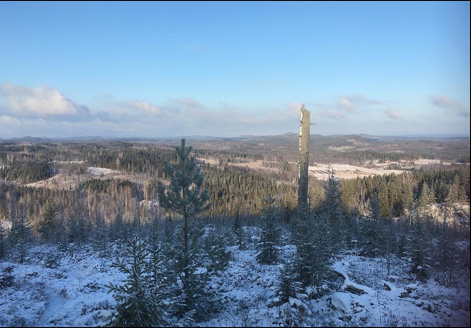 Kaltimon kierros 11.11. Marraskuun tapahtumia Kaltimon kierros on Enon Kaltimossa kiertävä noin 25 kilometrin rengasreitti. Reitti kulkee seitsemän vaaran yli ja maisema on vaihtelevaa.