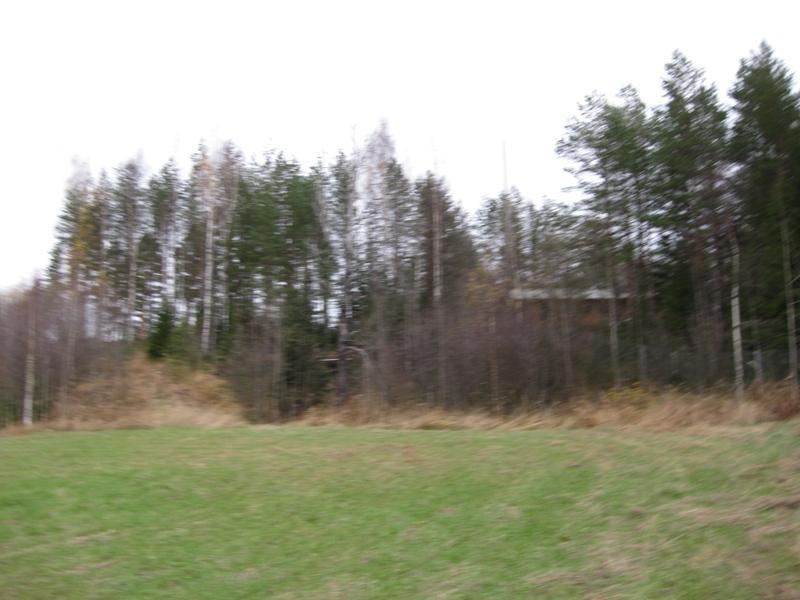 SUSIHAUDANRINNE I-LUOKAN