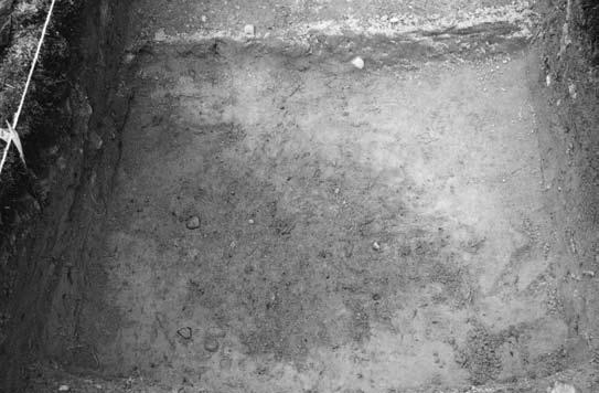 49-50/496-497,taso noin 10 cm,kuvattu