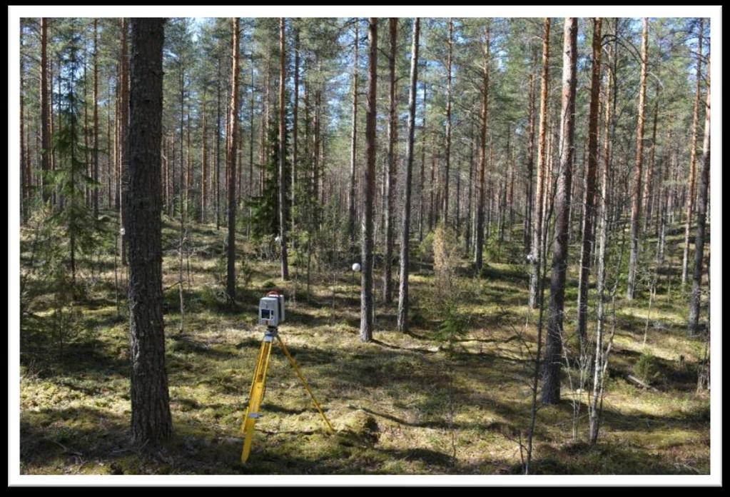 Pistepilven laatu Evolta mitattiin vuonna 2014 91 koealaa (32m x 32m) Maastolaserkeilausaineisto Pistepilven laatutarkastelu ~500 /ha 5 koealalta