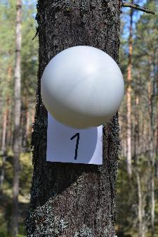 (laadukas) pistepilvi minimi määrällä mittauspisteitä Metsän