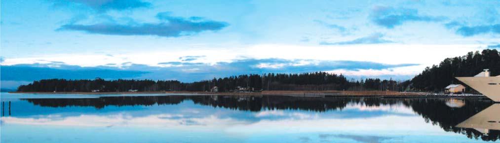saarta Naantalin kaupungin länsiosassa Kalevanlahden ja Luikkionlahden välisellä alueella. Alue laajennettiin Kärpäsen alueelle maanomistajan 16.3.2009 päivätystä aloitteesta.