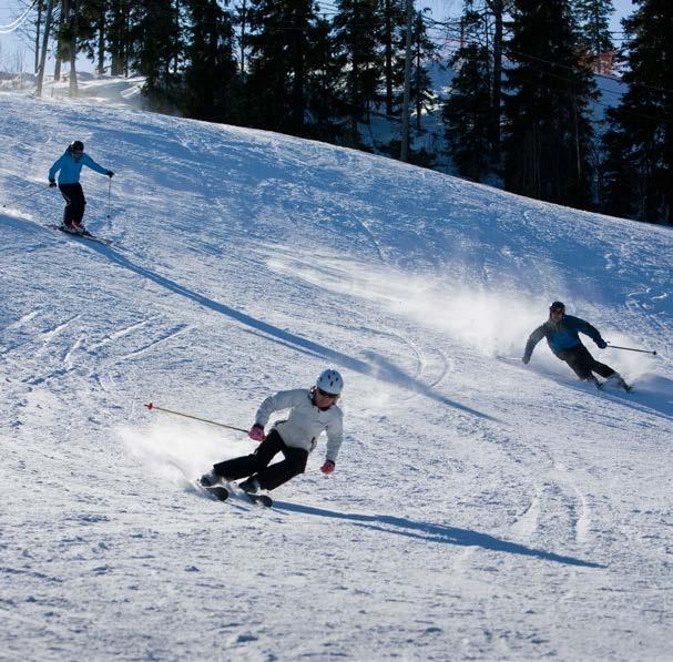 VUOKATTI SUOM MONIPUOLISIN LOMAKESKUS MOST VERSATILE IN LAND HOTELLI VUOKATTI Tule viihtymään, liikkumaan ja lepäämään. Vuokatti on Suomen monipuolisin lomakeskus.