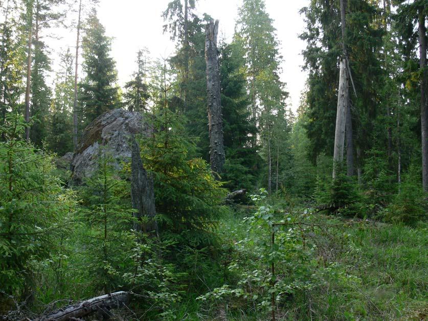 Hämeenlinnan Mykkäsen ja Tertin asemakaava alueiden linnustoselvitys 2011 22 5. Lähteet Koskimies, P. & Väisänen, R. A. 1988: Linnustoseurannan havainnointiohjeet. 2., uusittu painos.