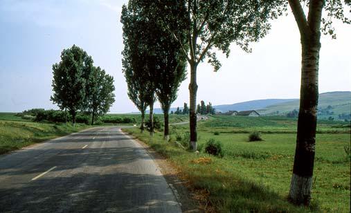 1988 Toinen Romanian matkamme 1988 alkoi Moldavian