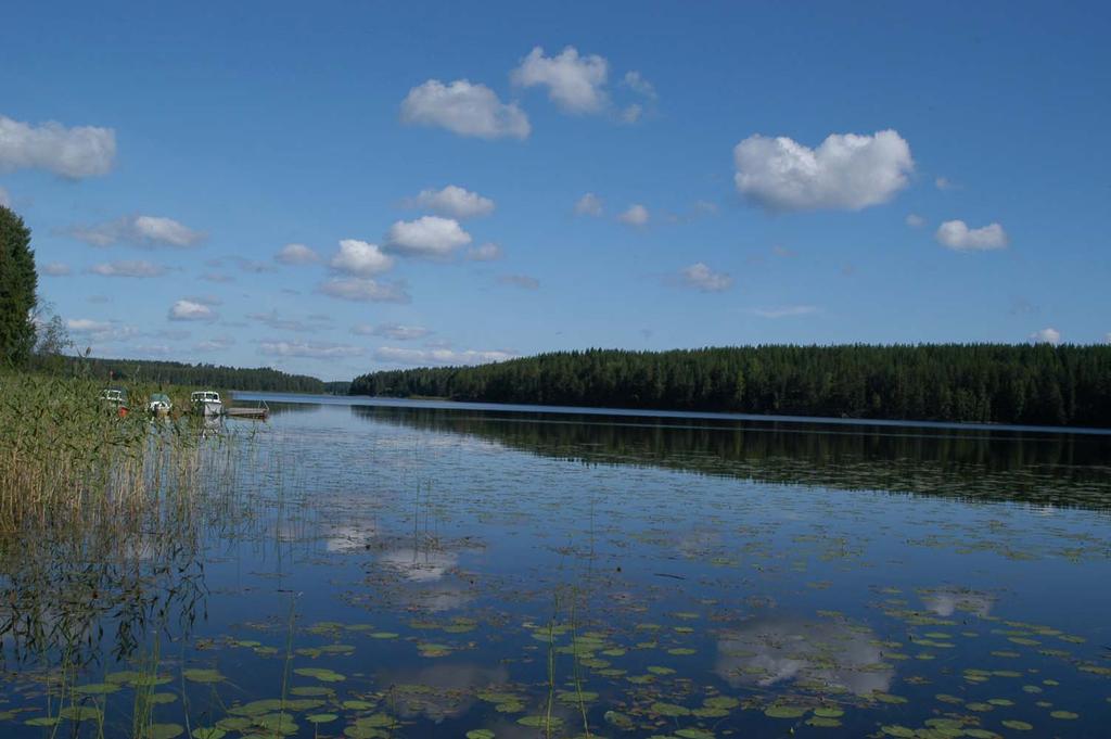 Kuva 4. Näkymä Äijäveden rannalta pohjoiseen. Kuva: Elina Söderström 2011. Äijävedellä tavataan kalliorantaa Tallivirran rannoilla sekä Toholahden itärannalla.