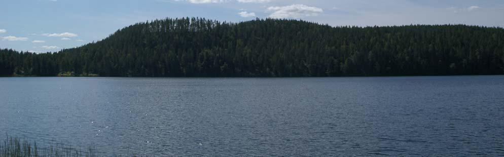 Personlammen laskupuro Savijärveen sijaitsee syvään uurtuneessa notkelmassa, mutta on kuivunut. Aluevaraukset: Pohjois-Savon maakuntakaava 2030 (2011): MY1.