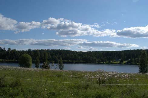 maisema tarjoaa useita kauniita näkymiä aivan keskustan asutuksen kupeessa.