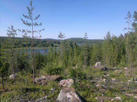 Kuvat 21 ja 22. Vasemmalla näkymä Toholahdesta etelään. Taustalla kohoaa Kiikarvuori. Kuva. E. Söderström. Oikealla näkymä Kiikarvuoren laelta pohjoiseen, kohti kirkonkylää. Kuva R. Suikkari 3.3.5.