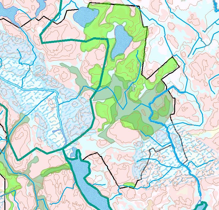 som förläggs till parkområdena. Dagvattnet kan avledas mellan lösningar på olika nivåer över avlopp eller med hjälp av öppna diken och grönsänkor.
