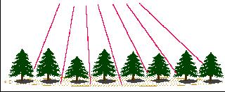 "Last pulse"-havainnot eli pisteet, jotka otetaan vastaan lähetetyn pulssin viimeisenä kaikuna. Puut erottuvat kohdissa, joissa laserpulssi ei ole läpäissyt metsää lainkaan.