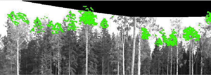 Laser data and a panoramic image mosaic have been georeferenced and the point cloud kas been superimposed for