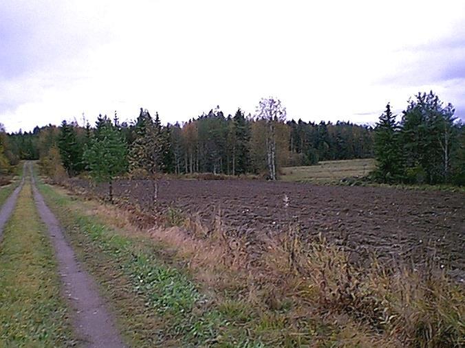 Sijainti: Paikka sijaitsee Kiuruveden kirkosta 24,8 km SW, Koivujärven pohjoispään Kylmälahden pohjoisrannalla, Tikkasenjoen suun koillispuolella 250 m, Kylmälahden talosta 120 m etelään,