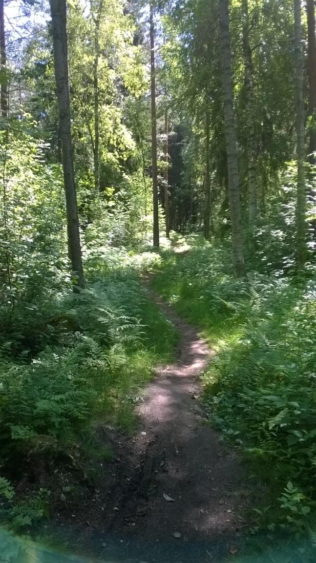 Kuvat 6 ja 7. Metsässä risteilee polkuja (6.7.2015/Tiia Sillgren). Poutakujan ja Martinpolun asuinalueen väliselle virkistysalueelle on laadittu luontoselvitys vuosina 2014 2015 (Pöyry Finland Oy).