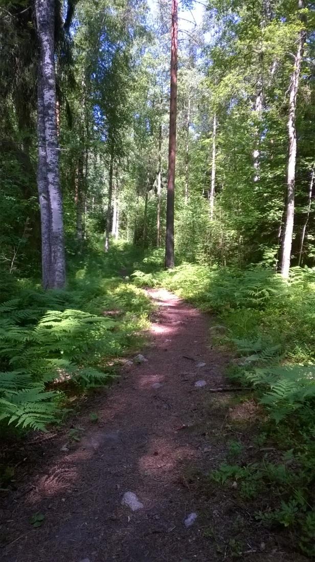 Tasaisella alueella rinteen juurella on kuusivaltaista puustoa. Poutakujan asuinalueeseen rajoittuvan pohjoisosan keskiosa on muuta aluetta kosteampaa.