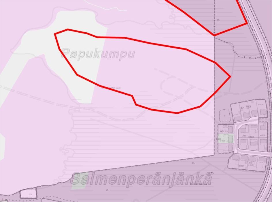 38. Papukumpu Vastuuhenkilö: Asuinpientalojen korttelialue Pinta-ala (%) 57 000 m² (80%) 14 000 m² (20%) Asuntoja n. 25 kappaletta.