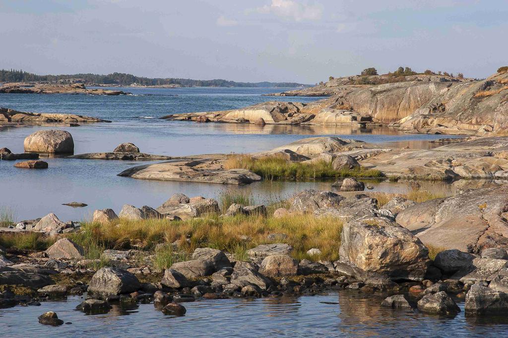 Suomen rannikon tila omalla vastuullamme Suomenlahden suurimpia ongelmia ovat rehevöityminen, ylikalastus, meriympäristöön kohdistuva rakentaminen ja meriliikenne sekä