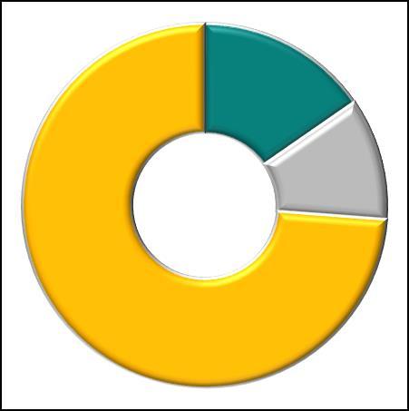 Vientiprojektit 3,0 M Muut asiakkaat 1,3 M 23 % 10 % 35 % Valtionhallinto 2,8 M 21 % 11