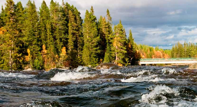 Uusiutuvan energian käyttö ja prosessin optimointi Ecophonilla on akustiikkalevyjen tuotantolaitokset neljässä maassa: Ruotsissa, Suomessa, Puolassa ja Tanskassa.