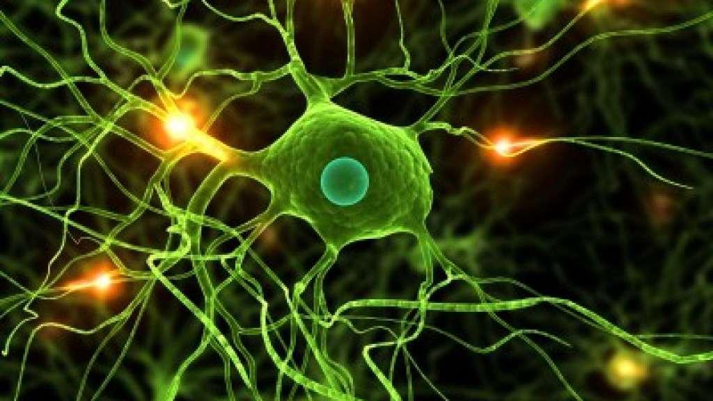How to study language issues that matter: Rhizomatic approach FIRST KEY MOMENT: Formulating your research question SECOND KEY MOMENT.