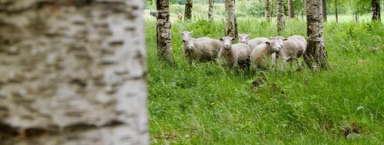 2.7.2 Maa- ja metsätalousvaltaiset alueet, joilla on erityisiä ympäristöarvoja Voimassa oleva maakuntakaava Voimassaolevassa maakuntakaavassa on osoitettu maa- ja metsätalousvaltaisia alueita, joilla
