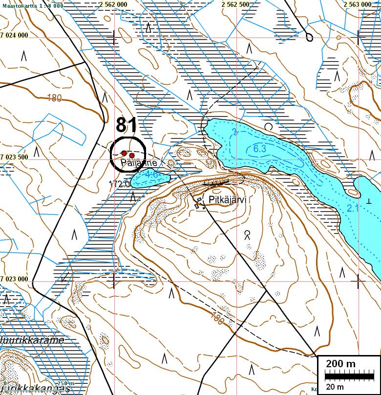 12 KINNULA 81 PITKÄJÄRVI-PÄIJÄNNE Rauh.