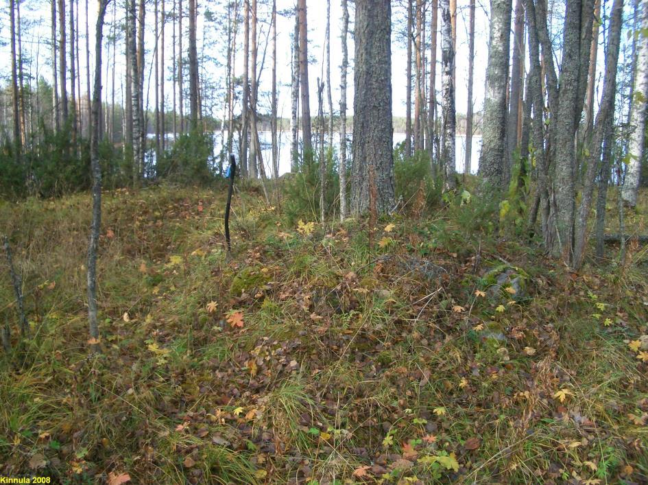 KINNULA 84 MATKUSJOEN TERVAHAUTA Rauh.
