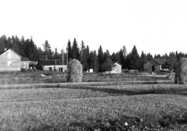 Emma (s. 1860). Orpolapsena Uudenkylän Hannulassa ja ripille päästyään hän palveli Tyrvään torpissa ja taloissa. Pso 1882 renki Akseli Alfred Villenpoika Marjamäen torpasta Karkun Ketunkylässtä.