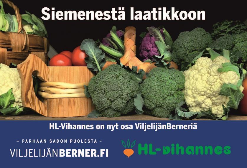 6.11.2017 1 SIEMENESTÄ