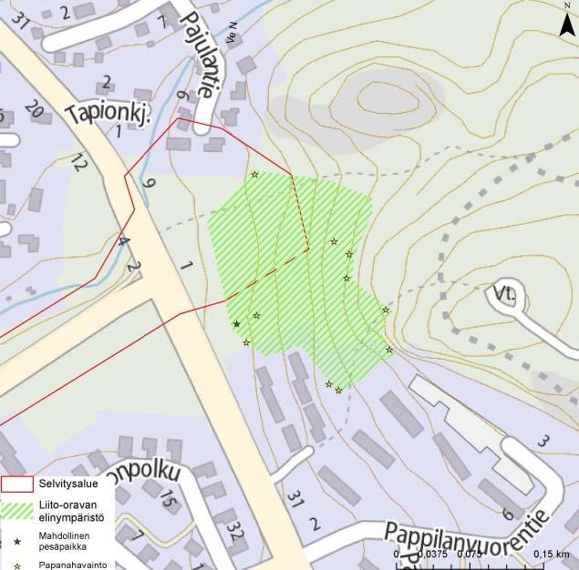 LUONNONSUOJELU, LIITO-ORAVAT SUUNNITTELUALUEEN KOILLISOSASSA,
