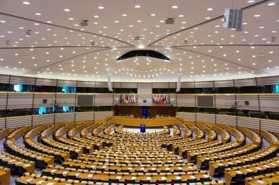 EU:n määräysvallan lisääntyessä Suomen metsien erityisasemaa ei pystytä puolustamaan.