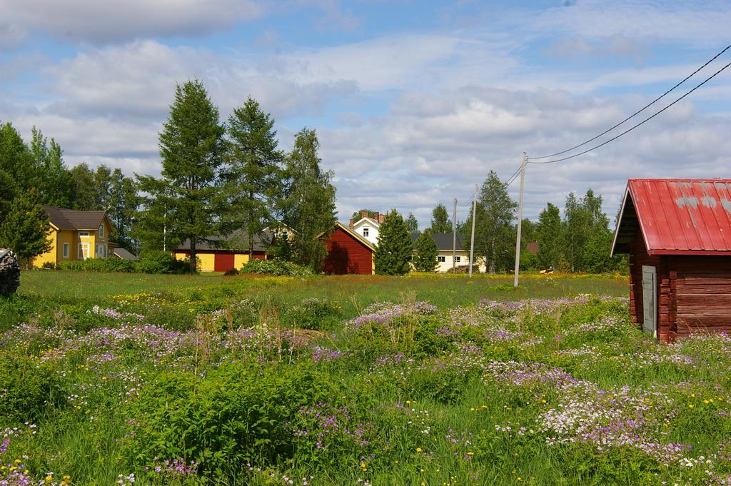 MAISEMA?