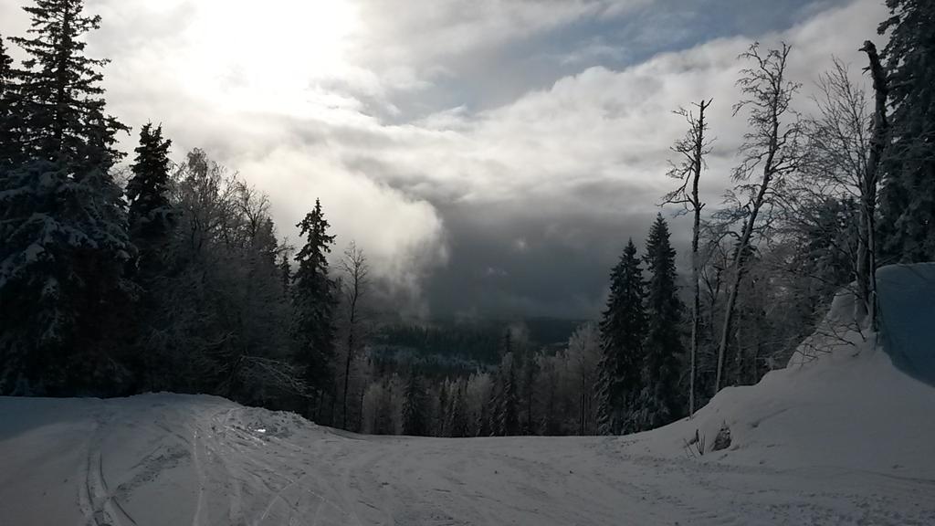 Koli Matleena