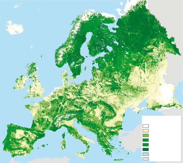 Kansainvälisiä metsätilastoja 13 % 1 km 1 km resoluutio % at 1 km 1 km resolution < 1 >1 10 >10 25 >25 50 >50 75 >75 100 Vesi Water Ei tietoa No data Lähde Source: Schuck, A., Van Brusselen, J.