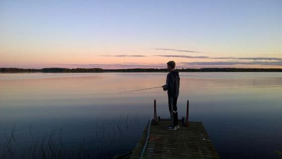 Matkailun strateginen edistäminen Itämerellä Suomen Itämeren alueen strategia Strategiassa esitetään visio Suomen tavoitteista Itämeren alueen kehittämiseksi.