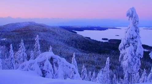 kansallismaisema Koli sijaitsee Lieksassa Kolin kansallispuisto Kolilla v.