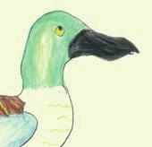Linnusto monipuolistui Kunnostuksen ansiosta Kanteleenjärven linnusto on monipuolistunut. Nostosta ovat hyötyneet erityisesti kosteikkojen linnut, sillä niille syntyi lisää sopivaa elinaluetta.
