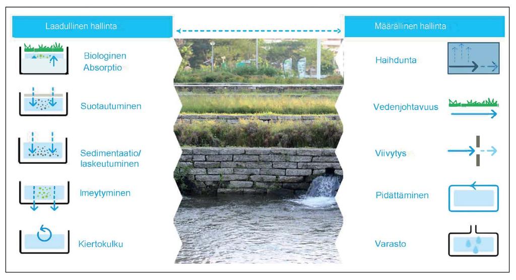 VESI POSITIIVISENA RESURSSINA Strategisesti suunniteltu sinivihreä infrastruktuuri yhdistyy toiminnallisesti harmaaseen infrastruktuuriin ja ottaa huomioon kaupunkiympäristön erilaisille pinnoille