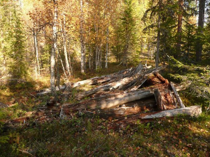 inventointi Paikka sijaitsee Äkäsjoen eteläpuolella, Rautuvaaran länsipuolella olevan pitkänomaisen harjanteen - Sulankaltionvaaran eteläpään tasalla, länsirinteen juurella, Niesajoen