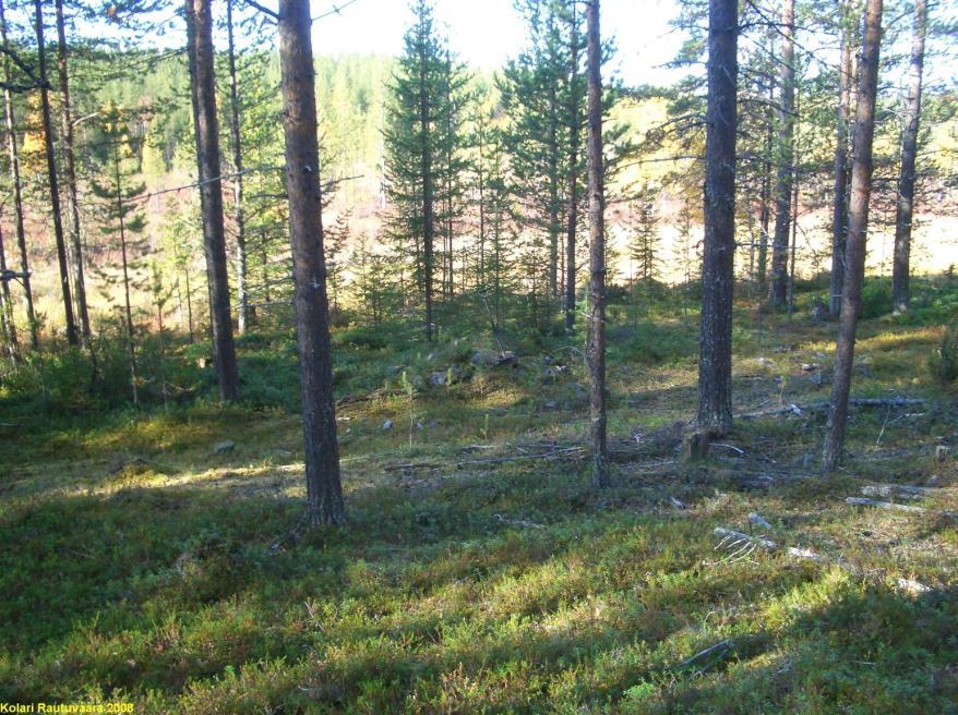 KOLARI 84 AHVENJÄRVI Rauh.